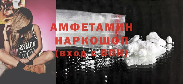 шишки Няндома