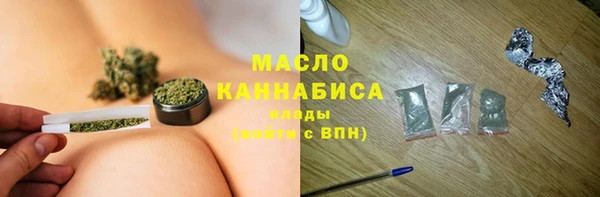 шишки Няндома