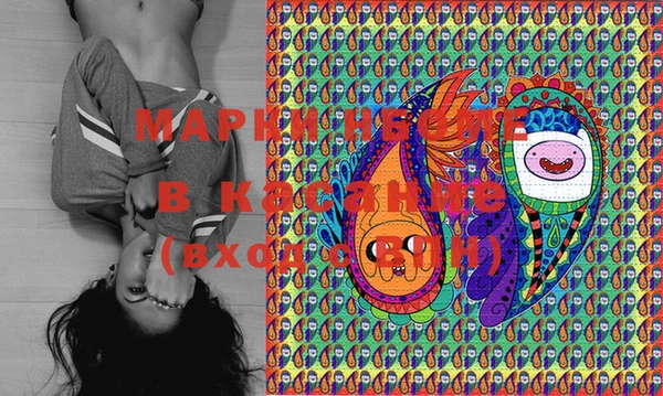 шишки Няндома