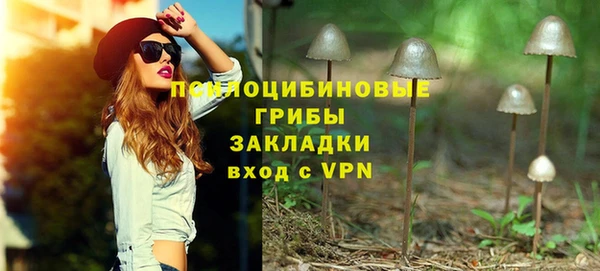 сатива Нефтегорск
