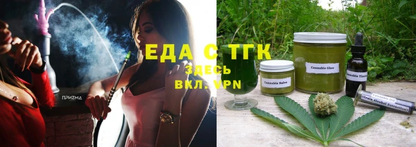 шишки Няндома