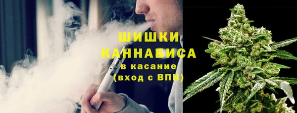 шишки Няндома